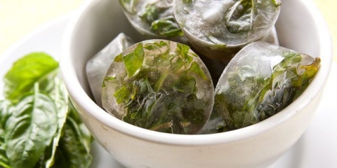 Da li je moguće zamrznuti bosiljak za zimu